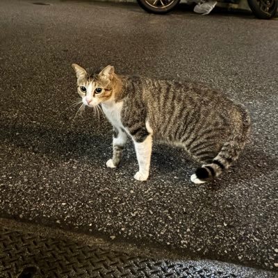 xsHMrBb8dA55019's profile picture. 