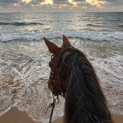 o_iiiiol's profile picture. 