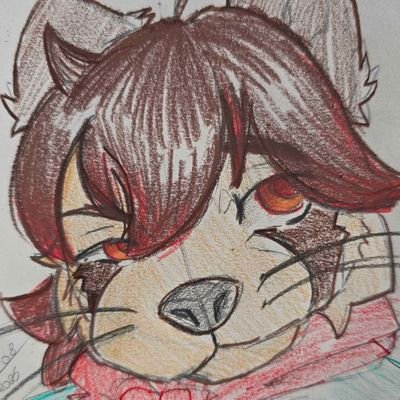 Owner of @Sasamiis_
MBTI ISTJ
Autistic
Furry
I like @SCInternacional @ChelseaFC @FURIA