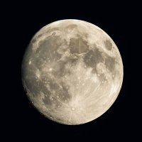 dntaskme (@dntaskmemore) 's Twitter Profile
