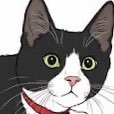 しとつ🏀バスケの季節や！🐱猫かわいいさんのプロフィール画像