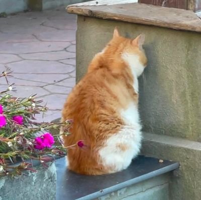 areuumdaunnabi's profile picture. Don't give up on your dreams, keep sleeping