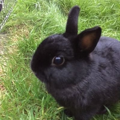 Estudante de psicologia, apaixonada pela ciência e fã de horror 🐇🥕 _ hater n° 1 do whatsapp
