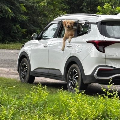 Ani2821998's profile picture. Founder GoldenLane Investments| EX-#MarutiSuzuki | https://t.co/ICVMLFfCsO in Mechanical Engineering, #DTU.  No buy/sell recommendation