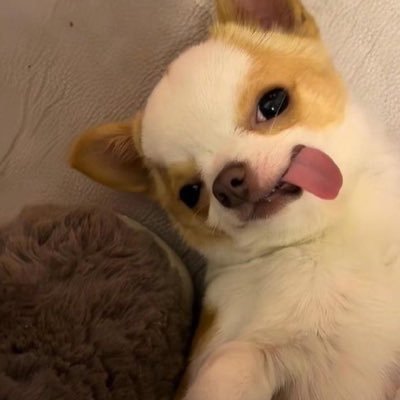 elixirwq's profile picture. ⟢ 𖦹 @Ppsanta • @nampingnapat ⋆ ⋆° ✧ ✮