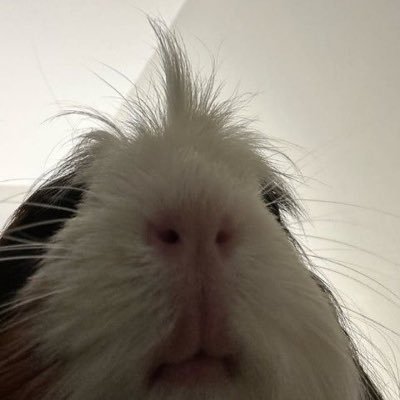 smj_1221's profile picture. 