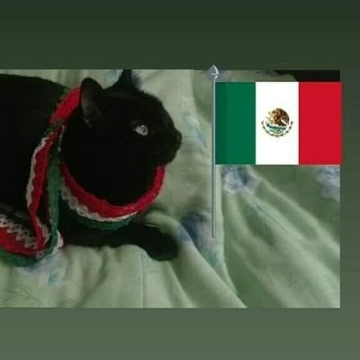 te sigo me sigues, No D.M. Cruz Azul 100%  No al maltrato animal, reciclar, Amlover 100% #ClaudiaPresidenta