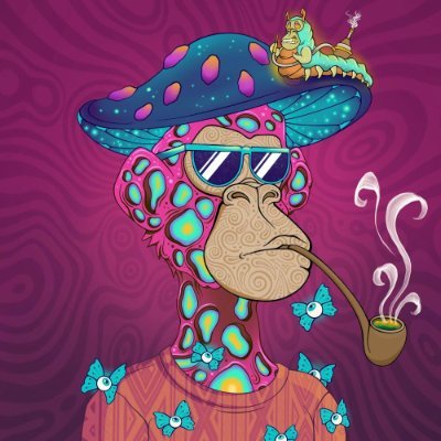 WangYao56878's profile picture. 博主【公众号：哈希先知耀哥】专注加密合约与波段交易，十年实战经验，带领无数兄弟从小资金做到翻仓，用纪律和节奏实现稳定盈利。