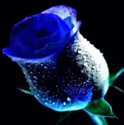 70ish. Retired after 25+ years of service. Christ Follower for life.
My favorite theme ~ 🖤💙🖤~
🛑 NO DM's ~ Thank you. 🛑