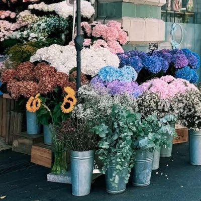 mrpkrm's profile picture. BirthdayButWithMe🧚🏻‍♂️🧡✨ #bbillkin