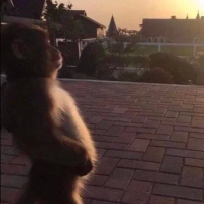 dickhardpump's profile picture. 