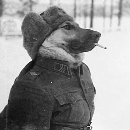 shubham0001Y's profile picture. 