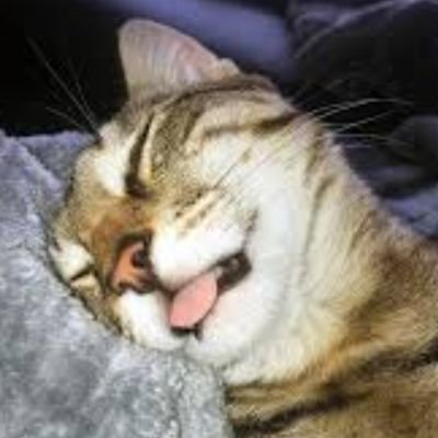 ChrisRe24964924's profile picture. 🐳🐋🌊
success starts in the mind 1st