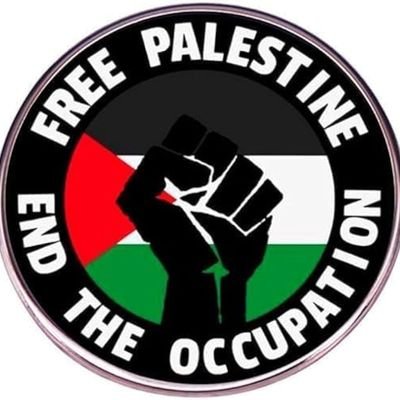 idi7007's profile picture. ᖴᖇᗴᗴ ᑭᗩᒪᗴSTIᑎᗴ !!🇵🇸