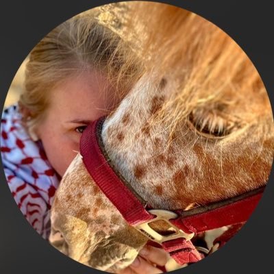 LauraineHazelet's profile picture. Thinking about books, medieval manuscripts, & the 16th century | Art History Student | Writer | Loves Languages | 🍊