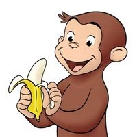 PaulCuriousboi's profile picture. 