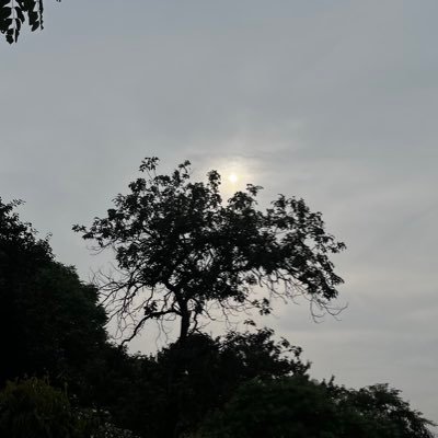 KovidMathur's profile picture. 