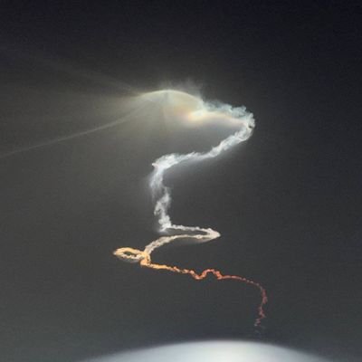 sacredsouth's profile picture. Observing conflicts to better translate it..