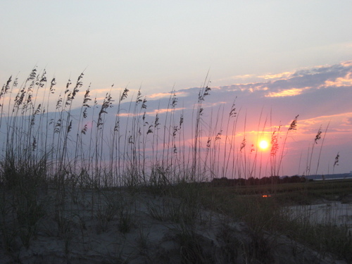 preppernation's profile picture. I strive every day to be more self reliant. You will never see HELP ME on my roof.