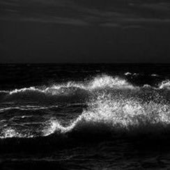 xooionly's profile picture. 