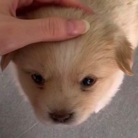 XEXE (@zizigaga289) 's Twitter Profile Photo