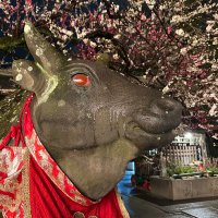 ひ (@math_symplectic) 's Twitter Profile