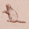 susiecampbell's profile picture. Poet. Tenter (2020) Enclosures (2021) The Sleeping Place (2023) WASTELANDS (Guillemot Press 2025) IG: @susiecampbellwrites Substack: @susiecampbell