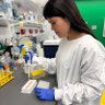 butera_frankie's profile picture. Post doc in the heart regeneration (Porrello/Elliott) lab @MCRI_for_kids. Previously in the Bakal and Harrington labs @ICR_London.