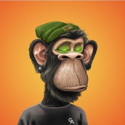 Community manager//community raider//community shiller//hypemod