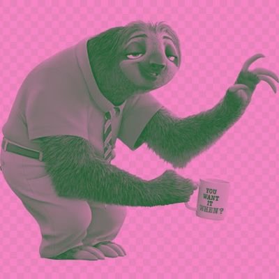 radhidayat's profile picture. 