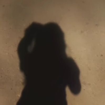 pug_lana's profile picture. #Solana