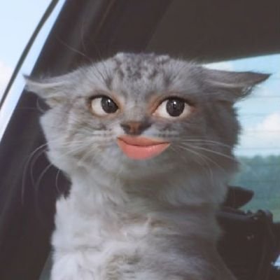 Shashmagirl's profile picture. got Loyalty got royalty inside my DNA