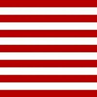 Dan Scavino Jr. ๐บ๐ธ๐ฆ
(@scavinoo47) 's Twitter Profile