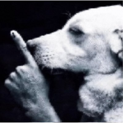 EhYoPierr's profile picture. 