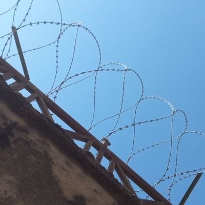 taki1157193's profile picture. 