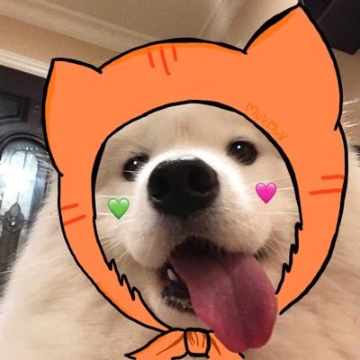 DataSaku's profile picture. เรามีกันแค่นี้ 💚💖