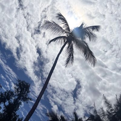 yungluuhh's profile picture. je kiff la musique et j’adore dormir