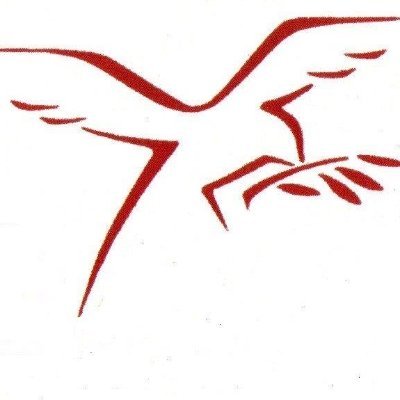 PeacePackaging's profile picture. We offer an end-to-end solution for all your packaging needs, from bags to containers, from disposable to biodegradable. eCommerce/UK Delivery