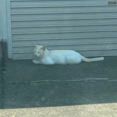 takaya999977's profile picture. 作家🌝