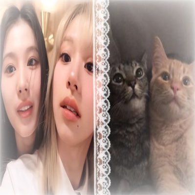 she is the prettiest & the cutest. sOo here i am simping over her, a tdoongie saetbyeoli ☆⋆。𖦹°‧★ ᶻ 𝗓 𐰁 .ᐟ ⚘ ˃̵ᴗ˂̵