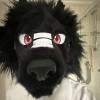 paradise ๐ด๓ ง๓ ข๓ ณ๓ ฃ๓ ด๓ ฟ (@para_disepaws) 's Twitter Profile