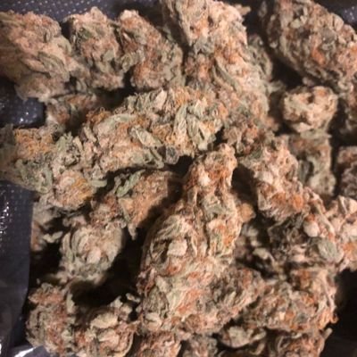 I don't mean to bother you though I grow and sell Premium-quality top shelf medical marijuana, perfect for both SMOKERS and PATIENTS suffering from anxiety, dep