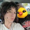 KikiNFT's profile picture. Fintech Ops + Content Moderation |Python/SQL + Policy | 👔 founder of everything Kiki 🍑 ATL 🐱 big cat guy