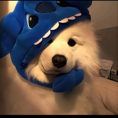 ChengGe73776's profile picture. 