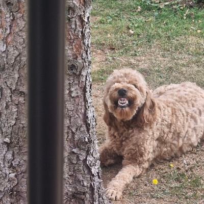 CraigG1975's profile picture. 