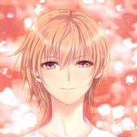 detommaso73570's profile picture. 