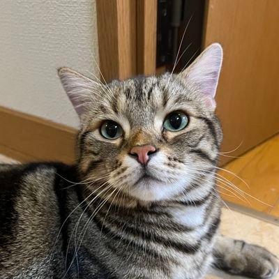 BKK/ENG(PREFER)/THAI
21
Part time Engineer, Full time idiot