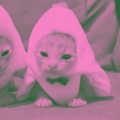 sektorpangan's profile picture. forever sinking