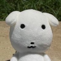 죗 (@okcloolicgo) 's Twitter Profile