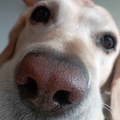 Cjrludovico1718's profile picture. soy fan